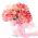 Raspberry Ripple Carnation seeds - Dianthus caryophyllus - 110 seeds