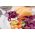 Red Cabbage - Koda - Crisp Texture and Bold Color for Winter Harvest! - Fresh Seeds