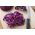 Red Cabbage - Koda - Crisp Texture and Bold Color for Winter Harvest! - Fresh Seeds