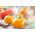 Tomate - Złoty Ożarowski - Vibrante naranja, jugosos frutos favoritos del jardín - Semillas frescas