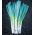 Porro - Bartek - 320 semi - Allium ampeloprasum L.