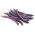 Brechbohne 'Purple Teepee' - Samen 