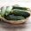 Timun "Aladyn F1" - bidang, pelbagai penjerukan - 110 biji - Cucumis sativus - benih