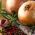 Cipolla - Wolska - Cipolle a raccolta tardiva, perfette per conservazione - Semi Freschi