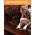 Sort anti-ukrudtsfleece (agrotextile) - til bortskaffelse - 3,20 x 5,00 m - 