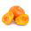 Zucca - Big Max - Enorme decorazione autunnale, fino a 45 kg per frutto - Semi Freschi