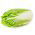 纳帕白菜“国会大厦” - 大头 -  86粒种子 - Brassica pekinensis Rupr. - 種子