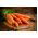 Porkkana - Olympus - Flakkee - 4250 siemenet - Daucus carota