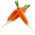 Porkkana - Olympus - Flakkee - 4250 siemenet - Daucus carota