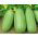 Castravete armeniană "Carosello Barese" - 40 de semințe - Cucumis sativus