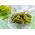 Pengambilan timun "Anulka" - 105 biji - Cucumis sativus - benih