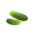 Castravete "Junak" - 105 semințe - Cucumis sativus