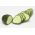Castravete "Junak" - 105 semințe - Cucumis sativus