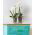 Oala cu flori orhidee ovale - Luna - 37 cm - Incolor - 