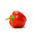 Poivron - Iga - 60 graines - Capsicum L.
