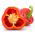 Poivron - Iga - 60 graines - Capsicum L.