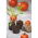 Expandierende Torfpellets 44 mm - 996 Stk - 