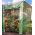 Invernadero de tomate - 200 x 198 x 78 cm - 