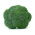 BIO - Broccoli - semi biologici certificati - 300 semi - Brassica oleracea convar. Botrytis