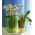 Ghiveci cu flori pătrate orhidee - Coubi - 12,6 cm - transparent - 