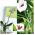 Vaso di fiori di orchidea - Coubi DSTO - 12,5 cm - Blu - 