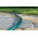 20 m TALOUDELLINEN ½ "puutarhaletku - CELLFAST - 