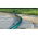 50 m ECONOMIC 1 "Gartenschlauch - CELLFAST - 