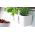 Square herbs pot, double - Twins Cube - 24 x 11 cm - Milk Coffee