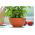 Pot à fleurs rond, bol - Misa - 17 cm - Terre cuite - 