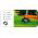 Garis potong untuk pemangkas rumput - 2,4 mm, 15 m - bulat - CELLFAST - 
