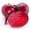 บีทรูท "Polglob" - 500 เมล็ด - Beta vulgaris