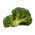 Broccoli - Wiarus - 300 semi - Brassica oleracea L. var. italica Plenck