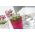 Ronde bloempot met kant - 11 cm - Kant - Wit - 