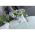 Maceta rectangular con platillo - Coubi - 39 x 19 cm - Blanco - 