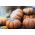Mošusni squash "Muscade de Provence" - s vrlo aromatičnim voćnim mesom - 18 sjemenki - Cucurbita moschata - sjemenke