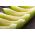 Melon - Seledyn F1 - 30 frø - Cucumis melo L.