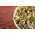 Spiring frø - foryngende blanding - 