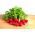 Radish - Cherry Belle - Quick Growing, Crisp Texture, Sweet Flavour - Fresh Seeds