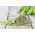 Schnittsellerie 'Green cutting' - ideal für das Trocknen
