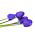 Tulip Blue – large pack! – 50 pcs