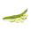 Fave - White Windsor - Vicia faba - 500 g - Fagioli grandi e teneri, raccolto affidabile - Semi Freschi