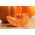 Giant squash "Golias" - 9 sjemenki - Cucurbita maxima  - sjemenke