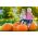 Zucca - Bambino - 100 g - Dimensioni compatte, frutti grandi, fino a 15 kg - Semi Freschi