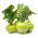 Kohlrabi "Gabi" - 520 เมล็ด - Brassica oleracea var. Gongylodes L.