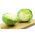 Wittekool – Diethmarscher - wit - 480 zaden - Brassica oleracea convar. capitata var. alba