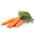 Morcov "Aron F1" - soiuri timpurii - 4250 de semințe - Daucus carota ssp. sativus 