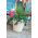 Rund blomkruka - Rocka - 17 cm - Mjölkkaffe - 