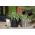 Vaso redondo - Onda - 35 cm - Antracite - 