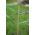 Bird repellent tape - 33 metres