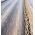 Gennemsigtig perforeret folie - 1,5 mx 10 m - 